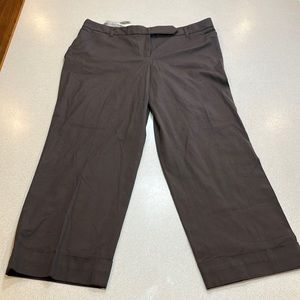 LOFT Marisa fit cropped brown pant capri size 10 NWT